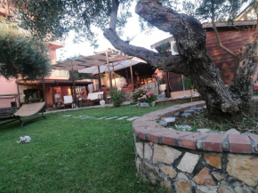  B&B Marino  Гризолия